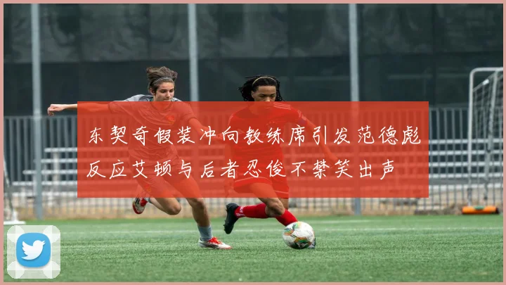 东契奇假装冲向教练席引发范德彪反应艾顿与后者忍俊不禁笑出声