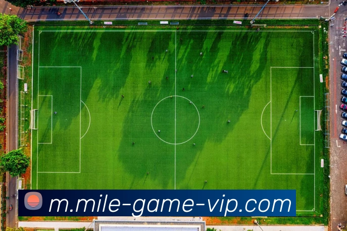 罗伊斯重返多特主场感慨万千出任俱乐部大使心系家园